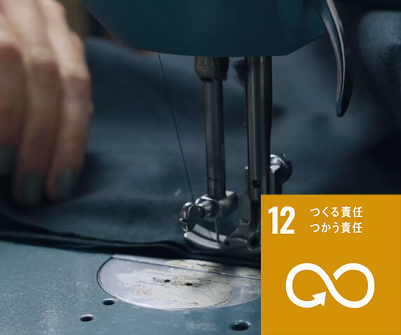 SDGs目標12イメージ